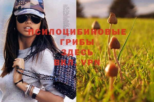 каннабис Липки