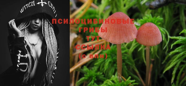 mdma Лиски